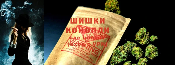 шишки Богородицк