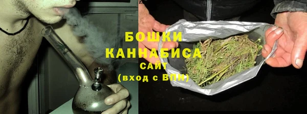 шишки Богородицк