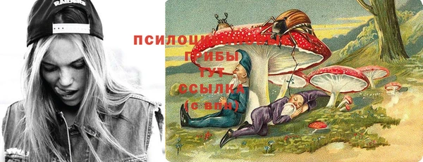шишки Богородицк