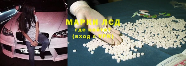 шишки Богородицк