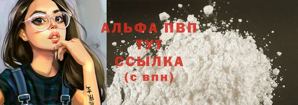 шишки Богородицк