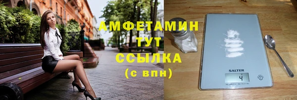 шишки Богородицк