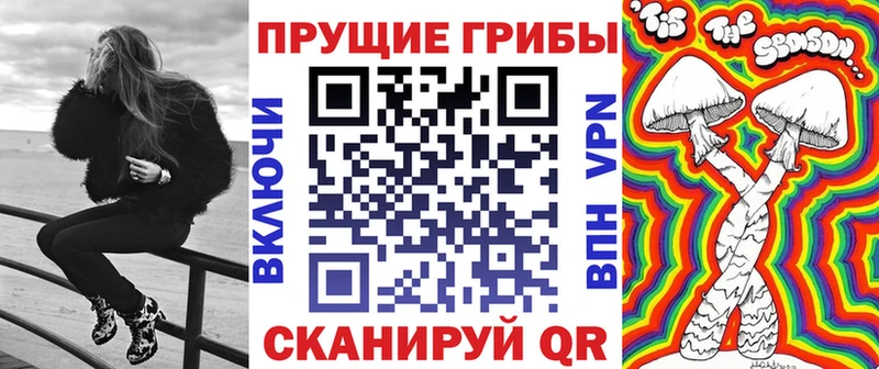 наркошоп  Екатеринбург  Псилоцибиновые грибы Cubensis 
